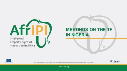 Meetings on the TF in Nigeria