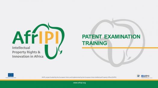 Patent Examination Trainin