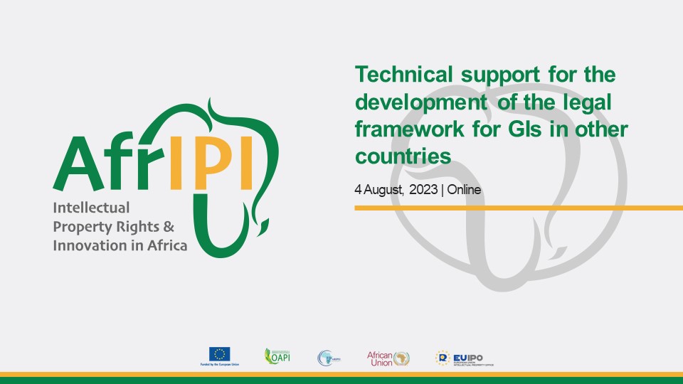 Technical support for the development of the legal framework for GIs in other countries 