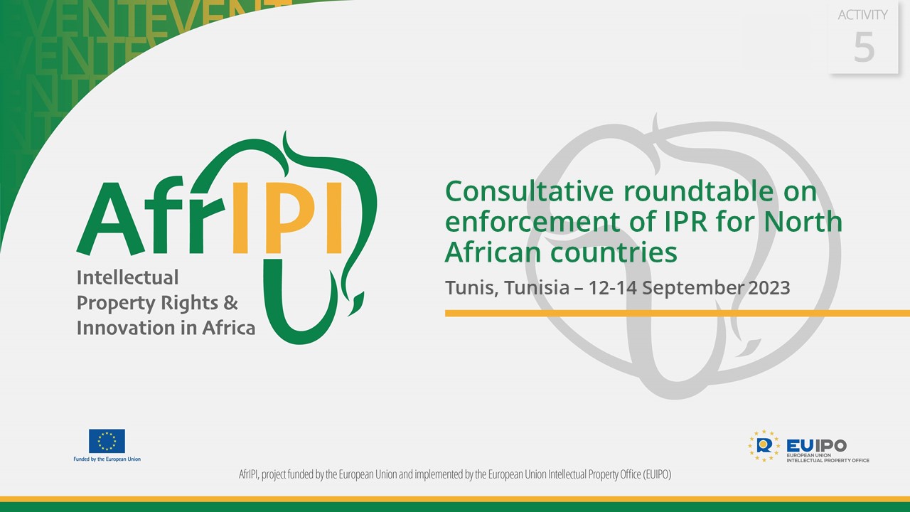 Consultative roundtable on enforcement of IPR for North African countries