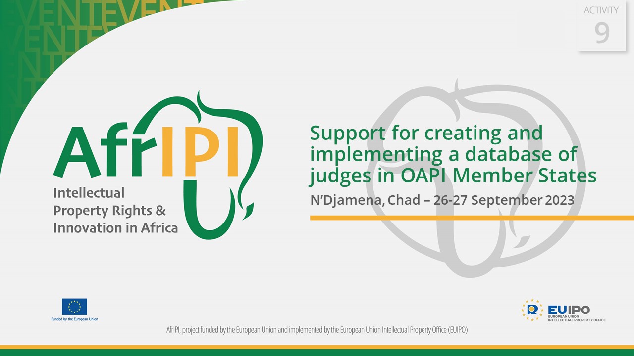 Support for creating and implementing a database of judges in OAPI Member States
