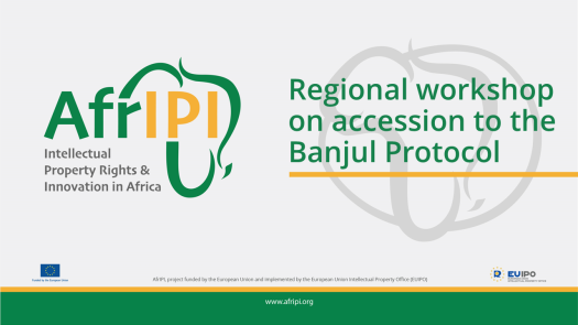 Afripi logo and title for the event