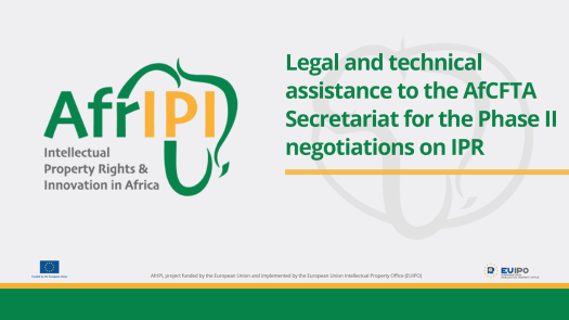 Afripi logo and title for the event