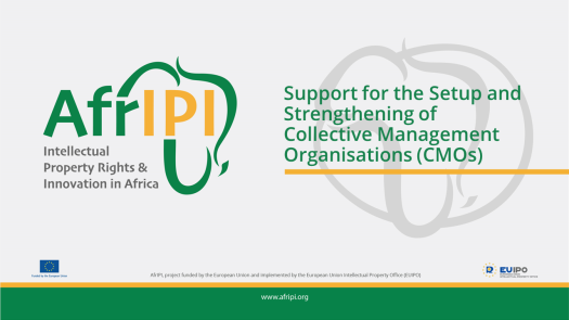 Afripi logo and title for the event
