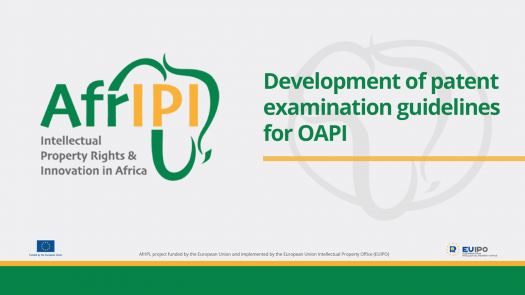 Afripi logo and title for the event