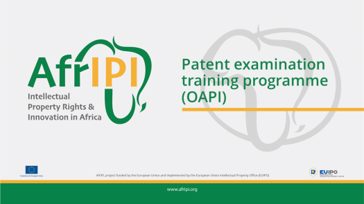 Afripi logo and title for the event