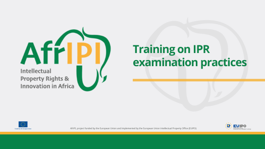 Afripi logo and title for the event