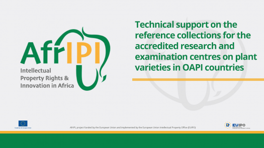 Afripi logo and title for the event