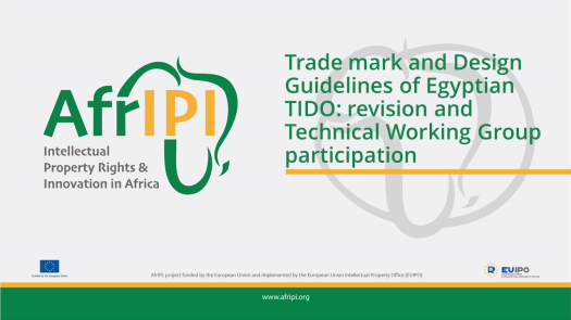 Afripi logo and title for the event