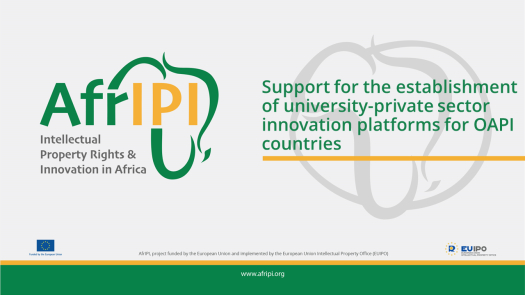 Afripi logo and title for the event