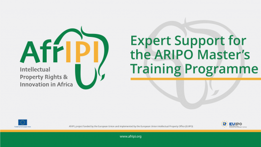 Afripi logo and title for the event