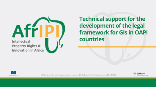 Afripi logo and title for the event