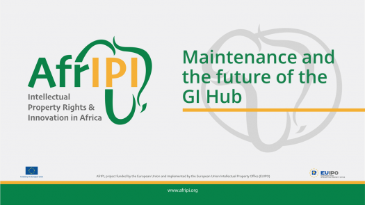 Afripi logo and title for the event