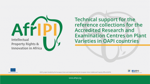 Afripi logo and title for the event