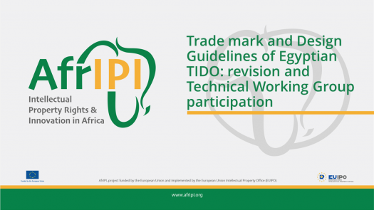 Afripi logo and title for the event