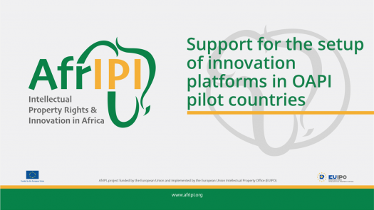 Afripi logo and title for the event