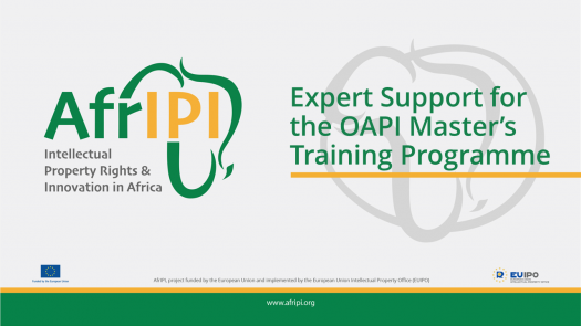 Afripi logo and title for the event