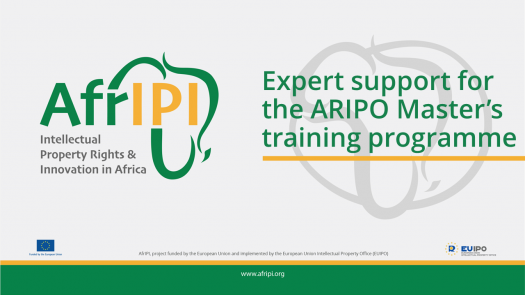 Afripi logo and title for the event