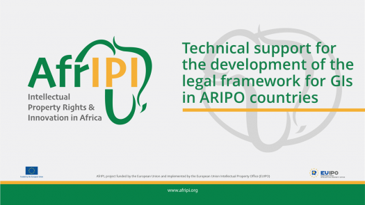 Afripi logo and title for the event