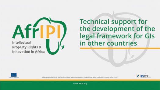 Afripi logo and title for the event