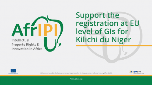 Afripi logo and title for the event