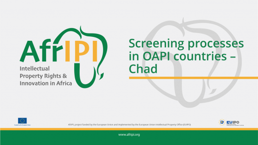 Afripi logo and title for the event