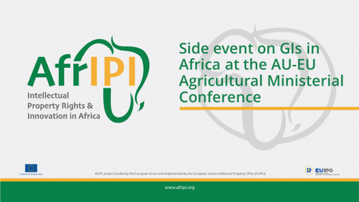 Afripi logo and title for the event