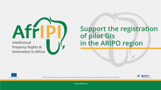 Afripi logo and title for the event