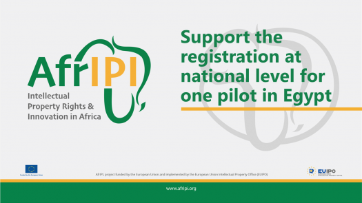 AfrIPI_AWP2_Activity33