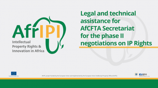 Afripi logo and title for the event