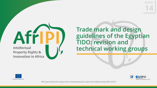 AfrIPI - AWP24 - Activity 14