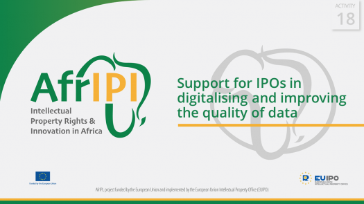 AfrIPI - AWP24 - Activity 18