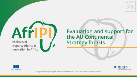 AfrIPI - AWP24 - Activity 24