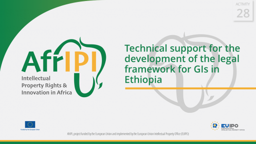 AfrIPI - AWP24 - Activity 28