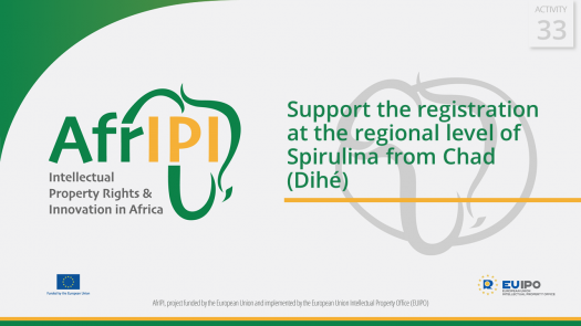 AfrIPI - AWP24 - Activity 33