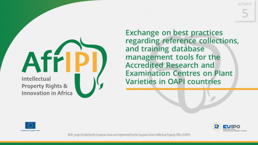 AfrIPI - AWP24 - Activity 5