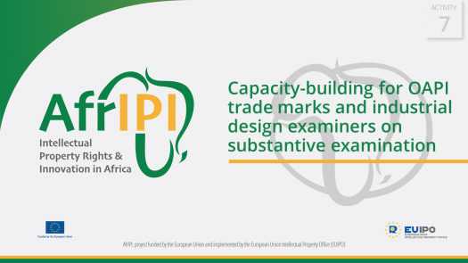 AfrIPI - AWP24 - Activity 7