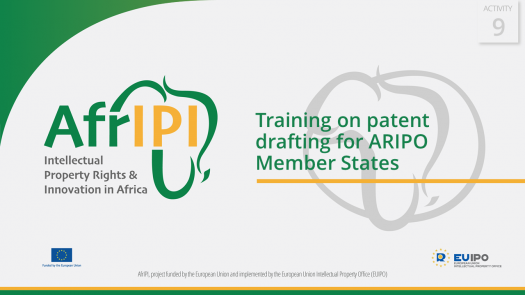 AfrIPI - AWP24 - Activity 9