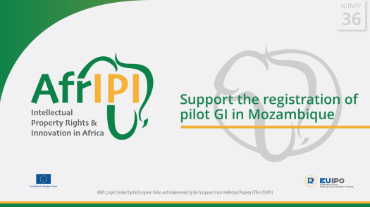 AfrIPI - AWP24 - Activity 36