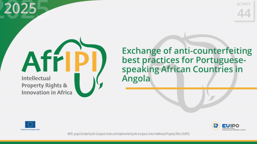 AfrIPI - AWP25 - Activity 44