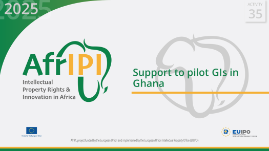 AfrIPI_AWP2025_Act35