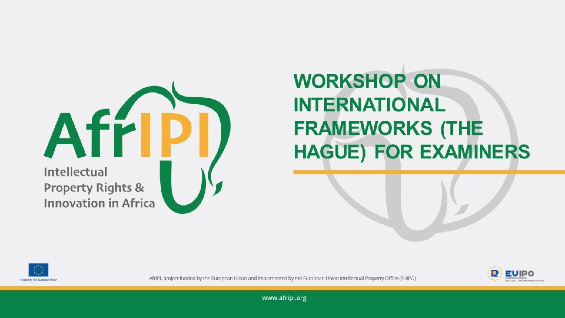 Workshop on international frameworks