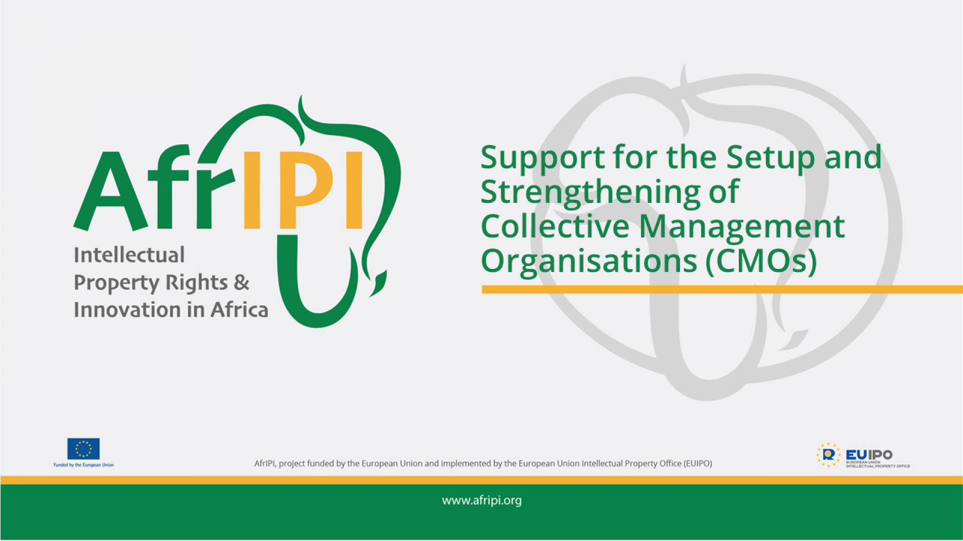 Afripi logo and title for the event