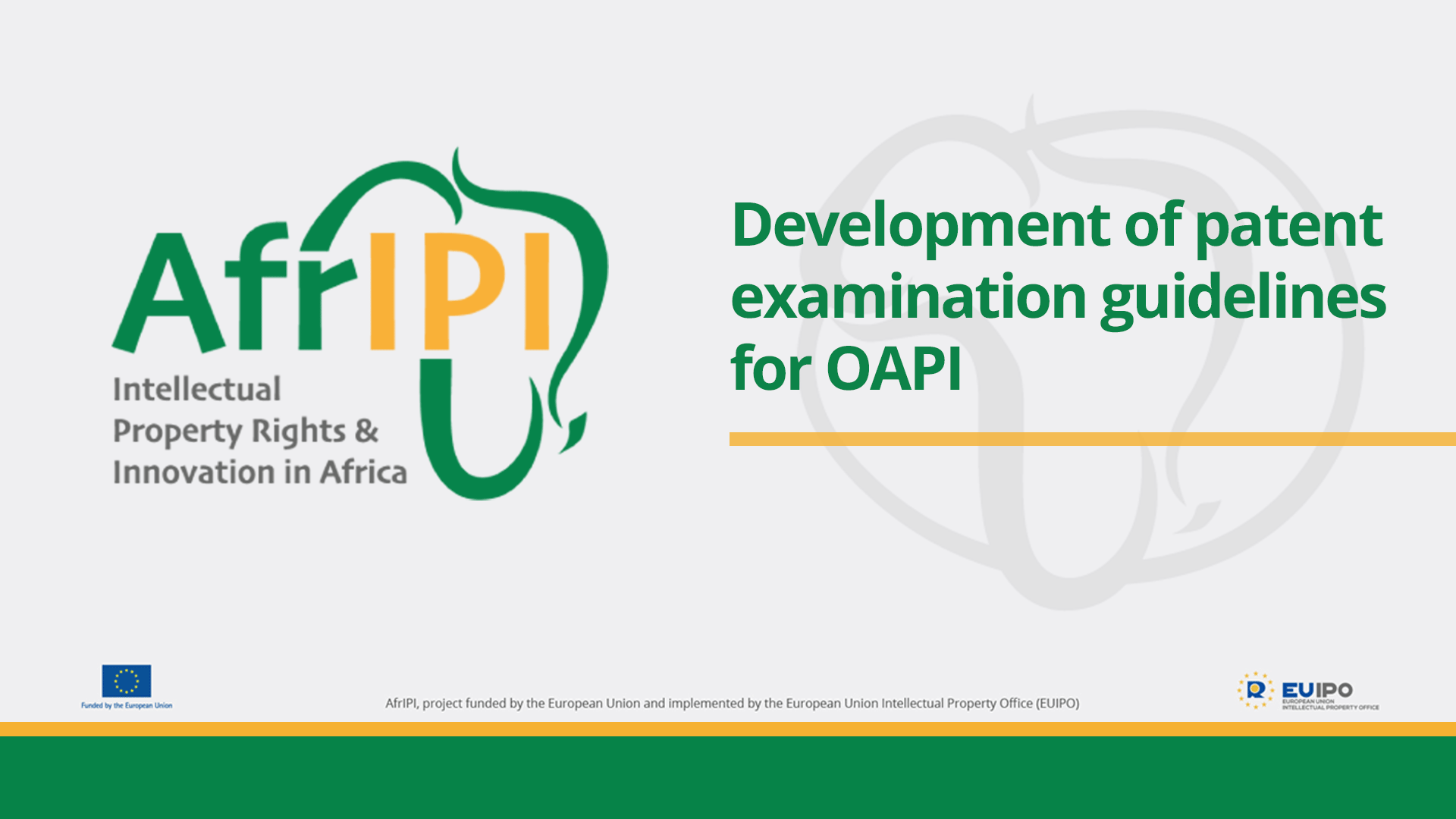 Afripi logo and title for the event