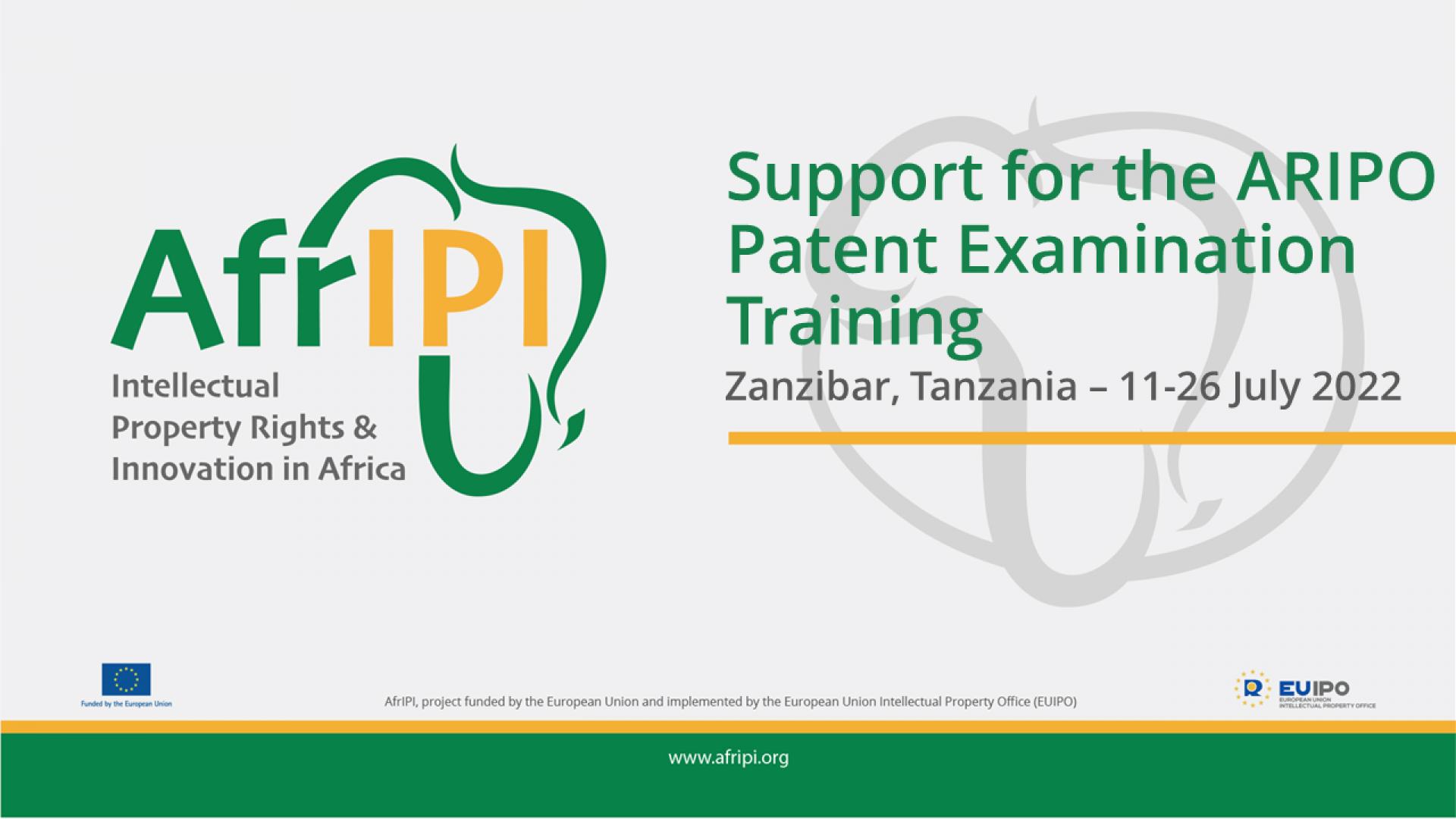 Afripi logo and title for the event