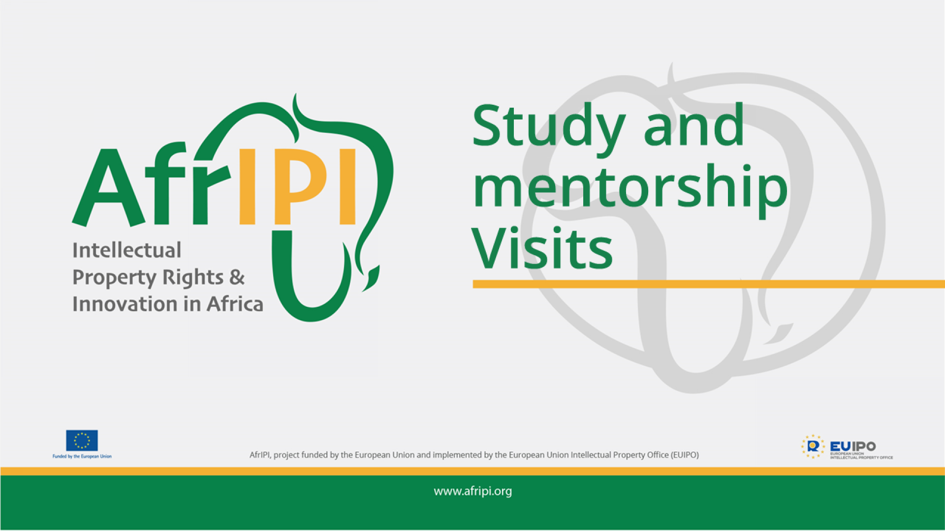 Afripi logo and title for the event