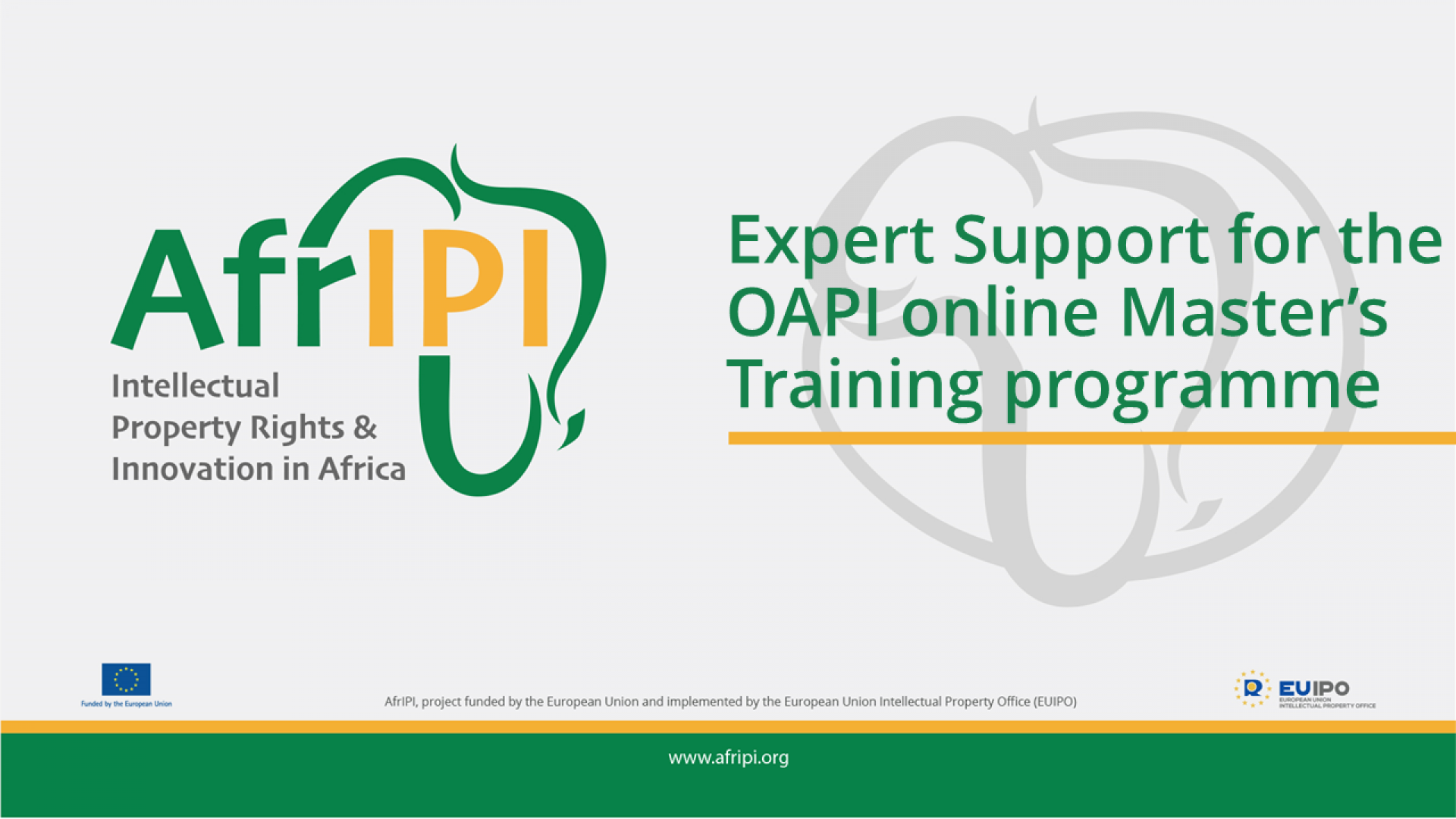 Afripi logo and title for the event