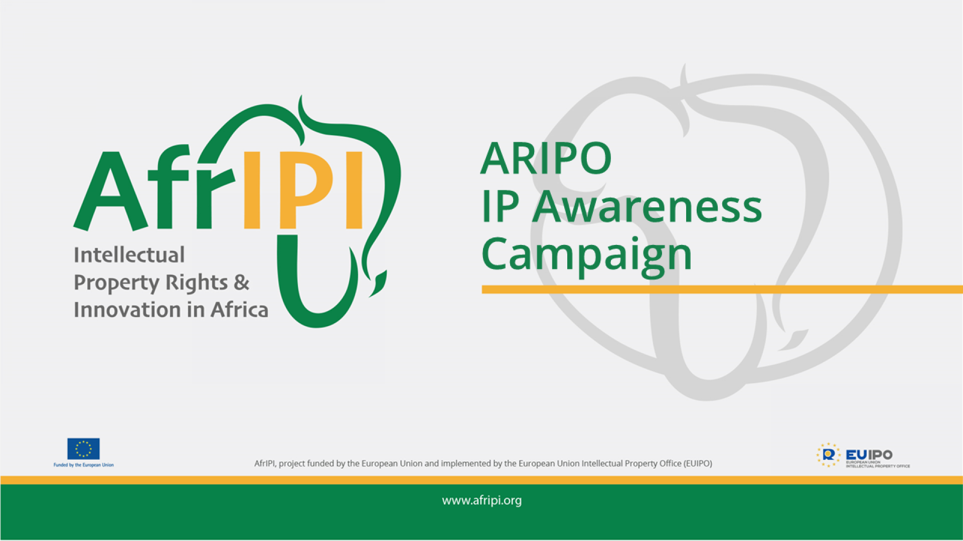 Afripi logo and title for the event