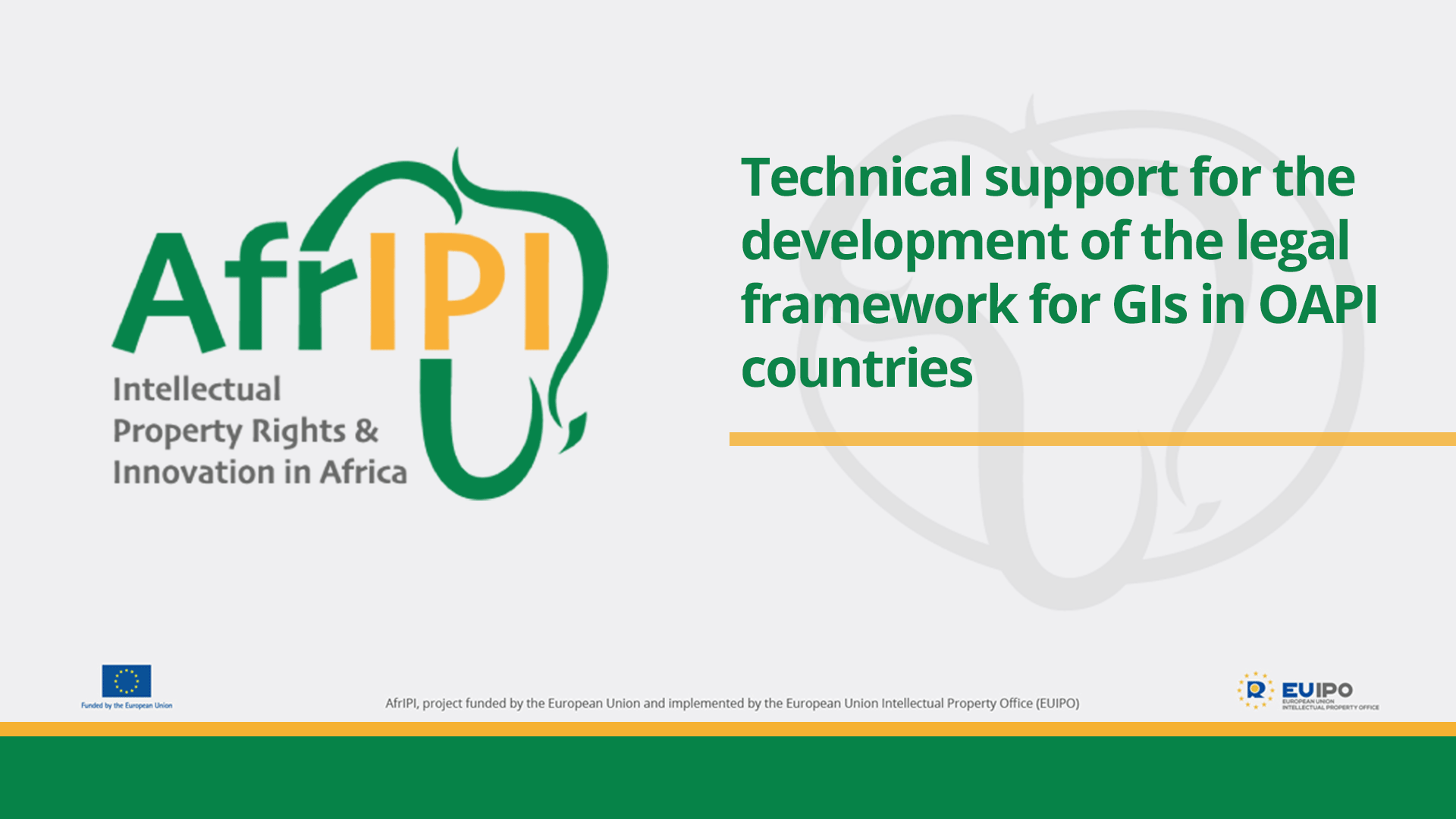 Afripi logo and title for the event