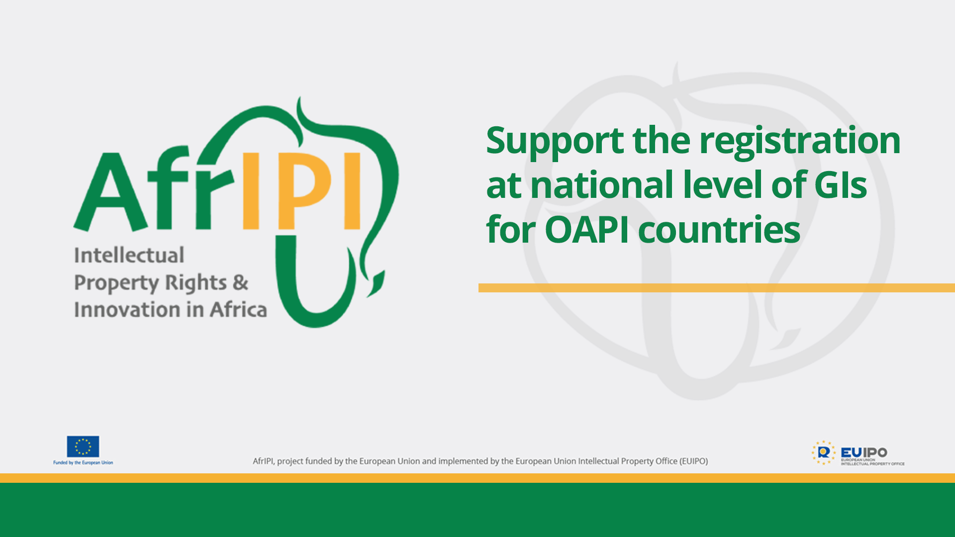 Afripi logo and title for the event